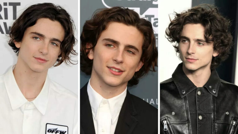 Timothée Chalamet’s Excessive Hairstyles: Your Closing Data