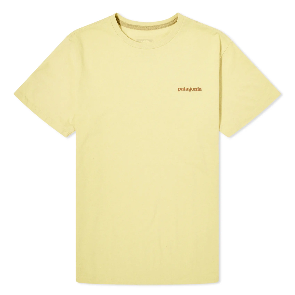 9biggestt-shirttrends14